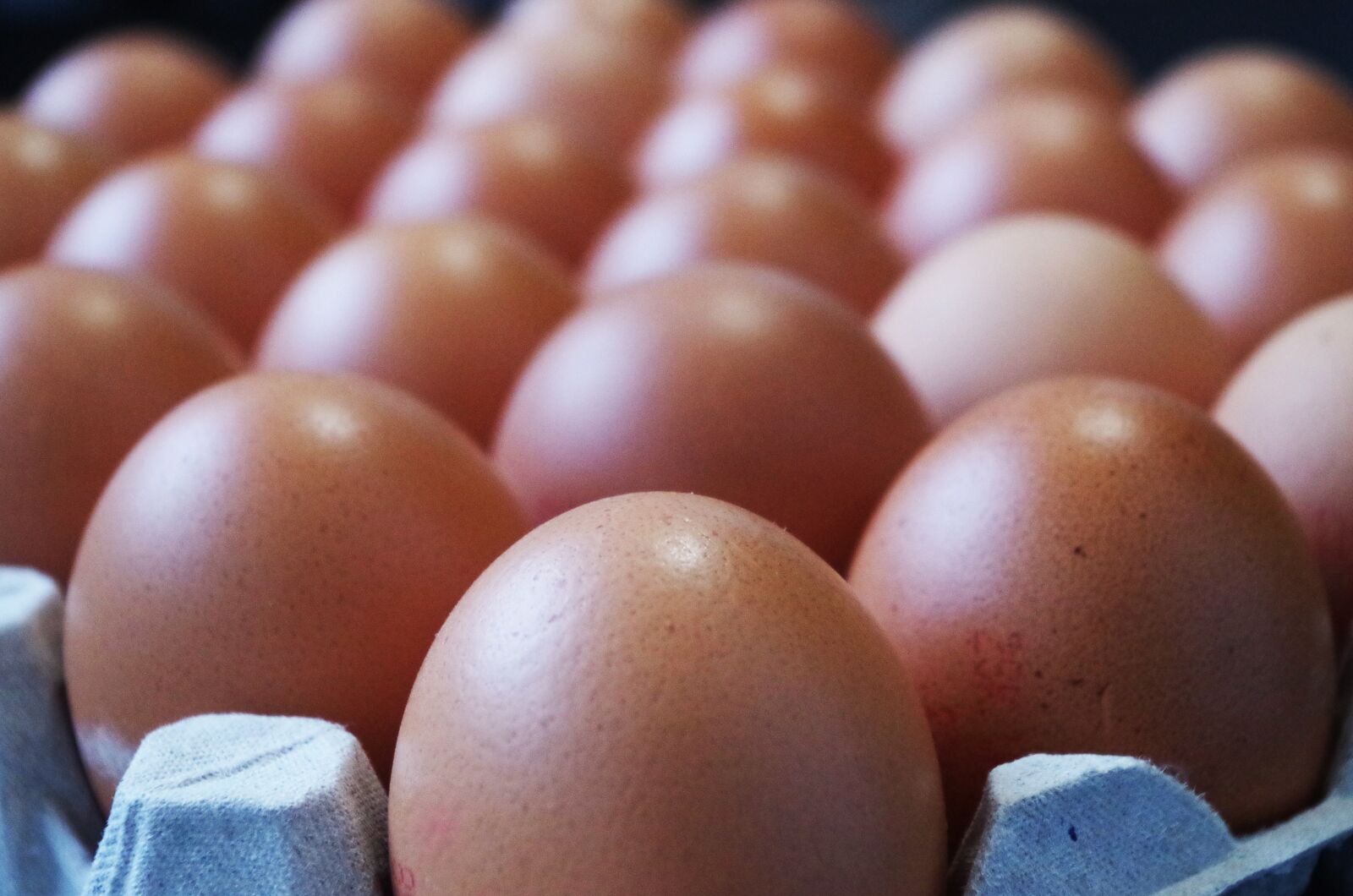 Pentax K-500 sample photo. Eggs, home, container photography