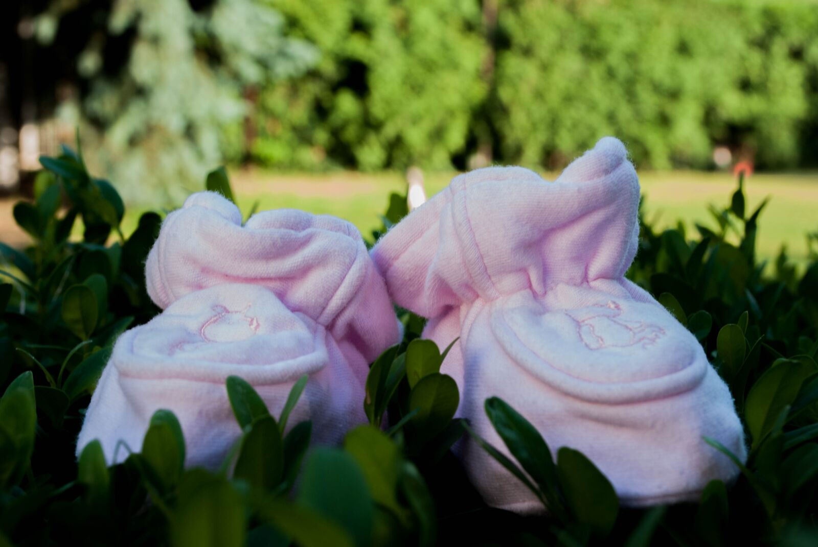 Nikon D3000 sample photo. Baby's bootees, babes, clothing photography