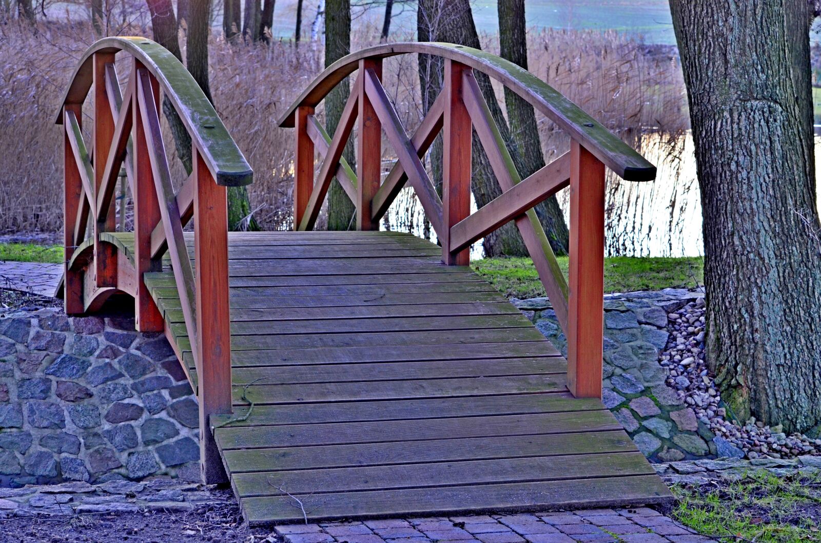 Nikon D5100 sample photo. Park, bridge, the brook photography