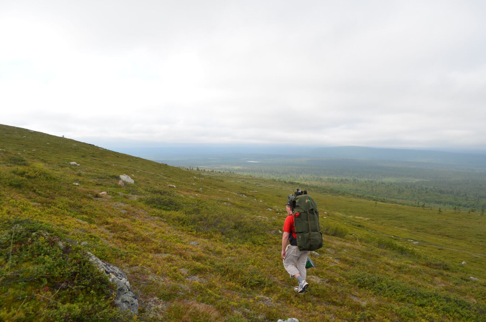 Nikon D5100 sample photo. The path, hetta-pallas, hike photography