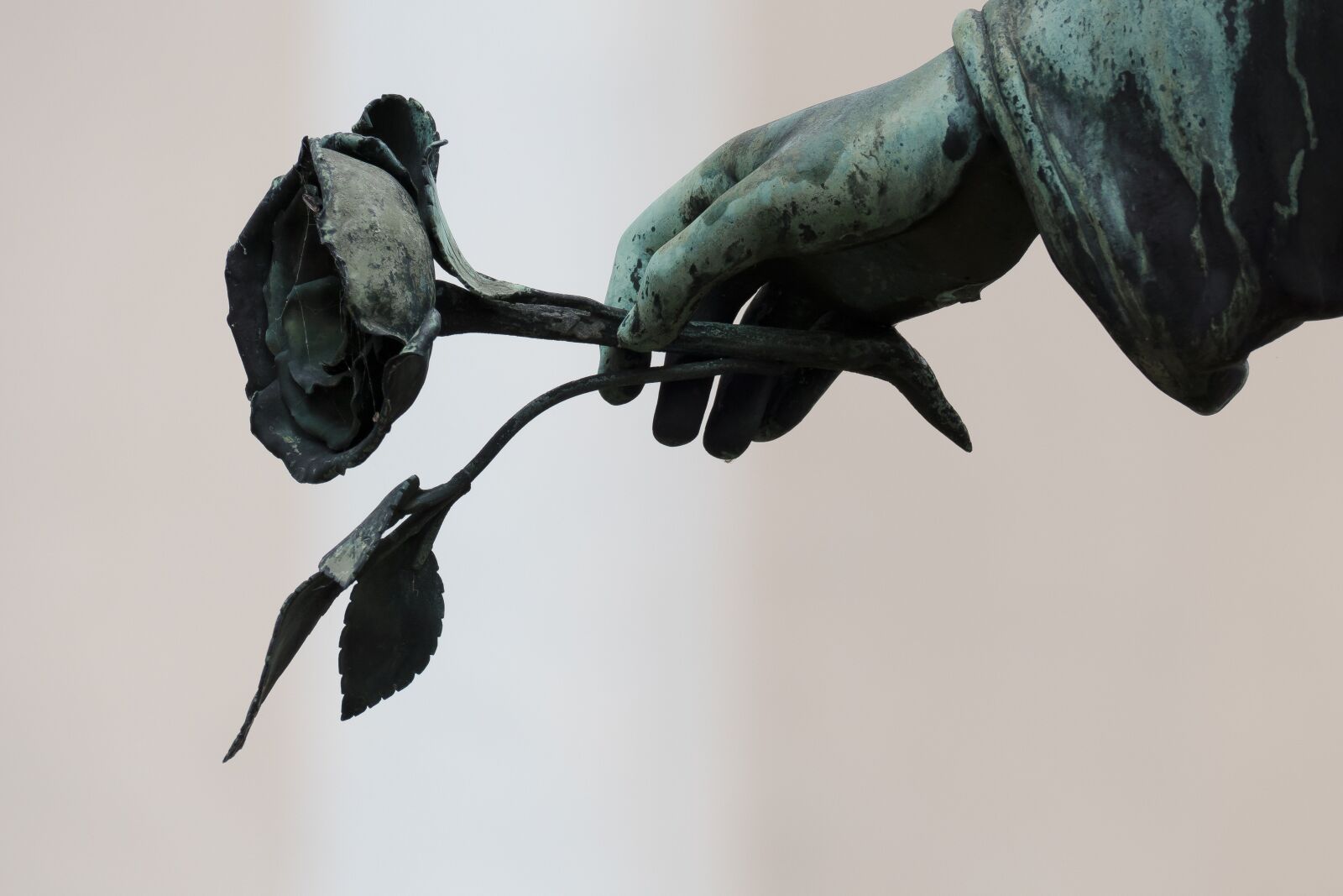 Leica V-Lux (Typ 114) sample photo. Angel, hand, rose photography