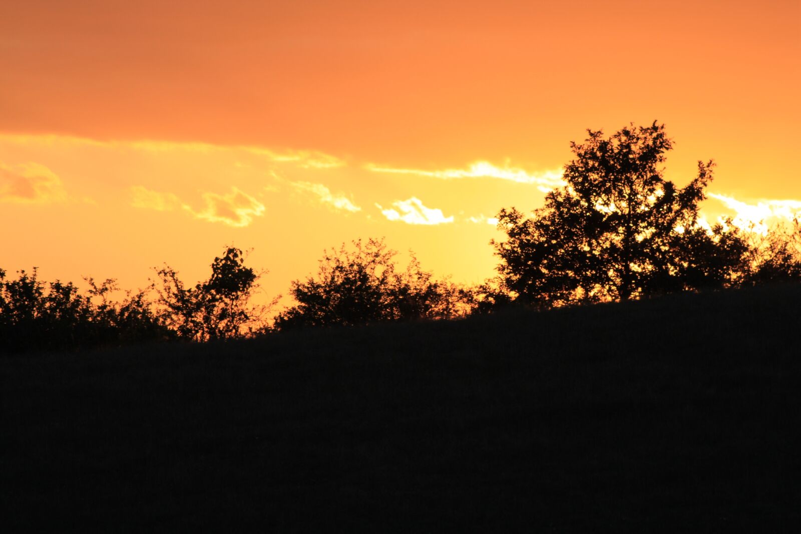 Canon EOS 500D (EOS Rebel T1i / EOS Kiss X3) sample photo. Sunset, nature, landscape photography