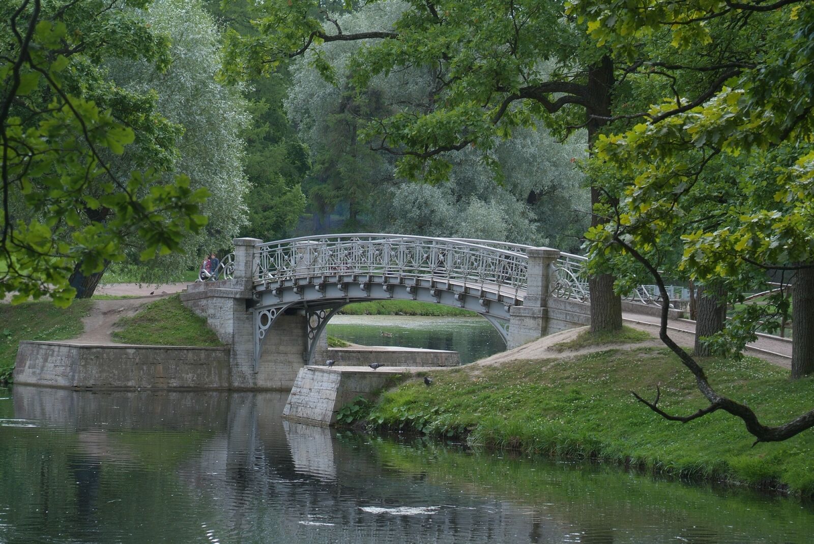 Fujifilm FinePix S3 Pro sample photo. Tree, bridge, water photography