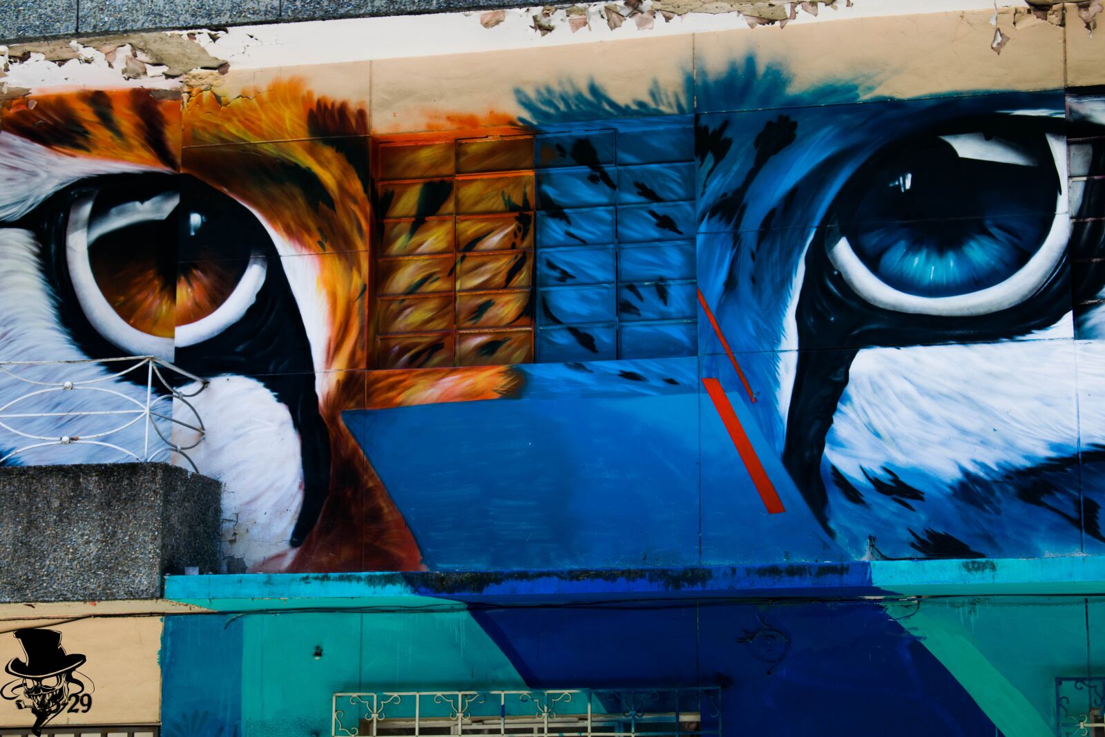 Nikon D5300 sample photo. Graffiti, tiger, cat photography