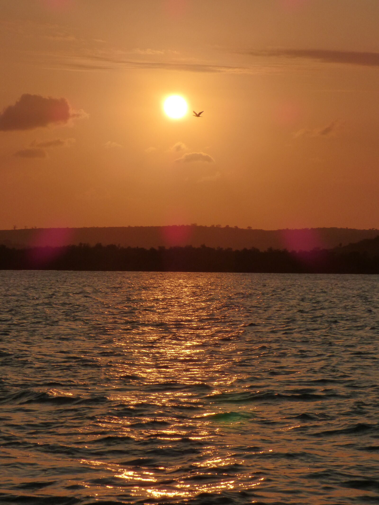Panasonic Lumix DMC-FZ70 sample photo. Kenya, sunset, at, kilifi photography