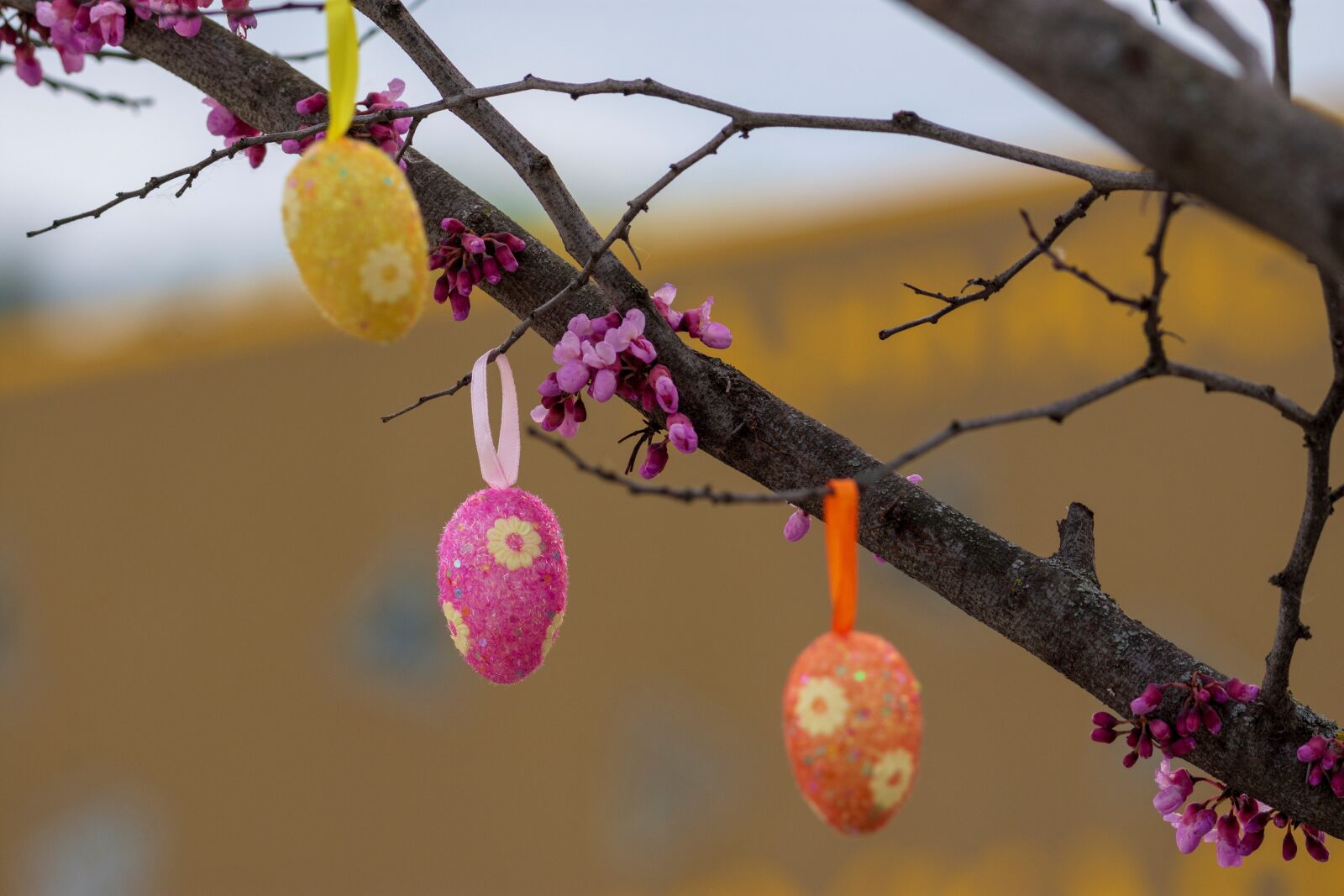 Nikon D7200 sample photo. Easter, eggs, happy photography