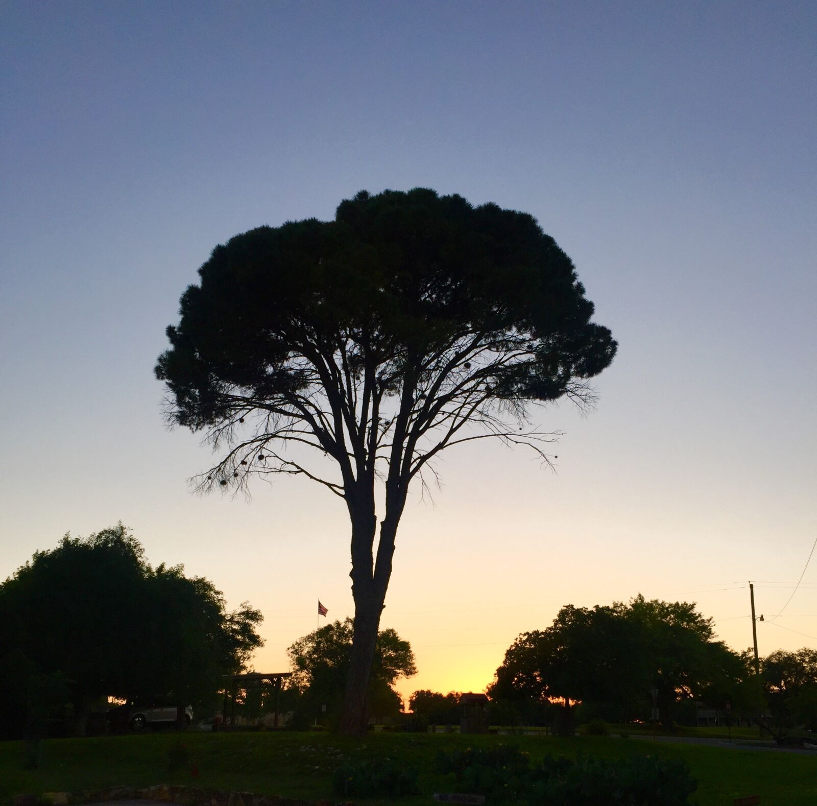 Apple iPhone 6 sample photo. Dusk, evening, park photography