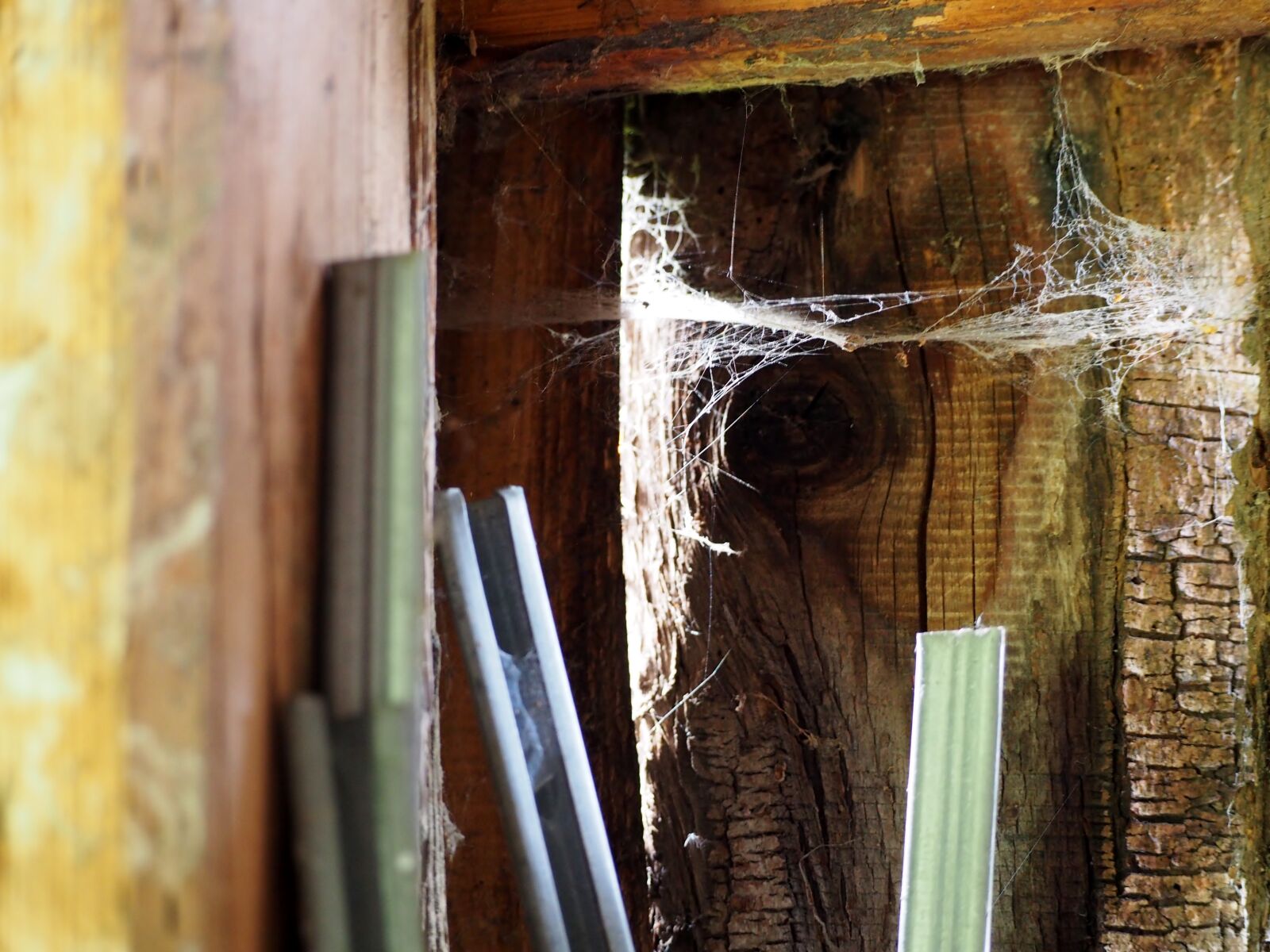 Olympus OM-D E-M10 sample photo. Stall, spider webs, wood photography