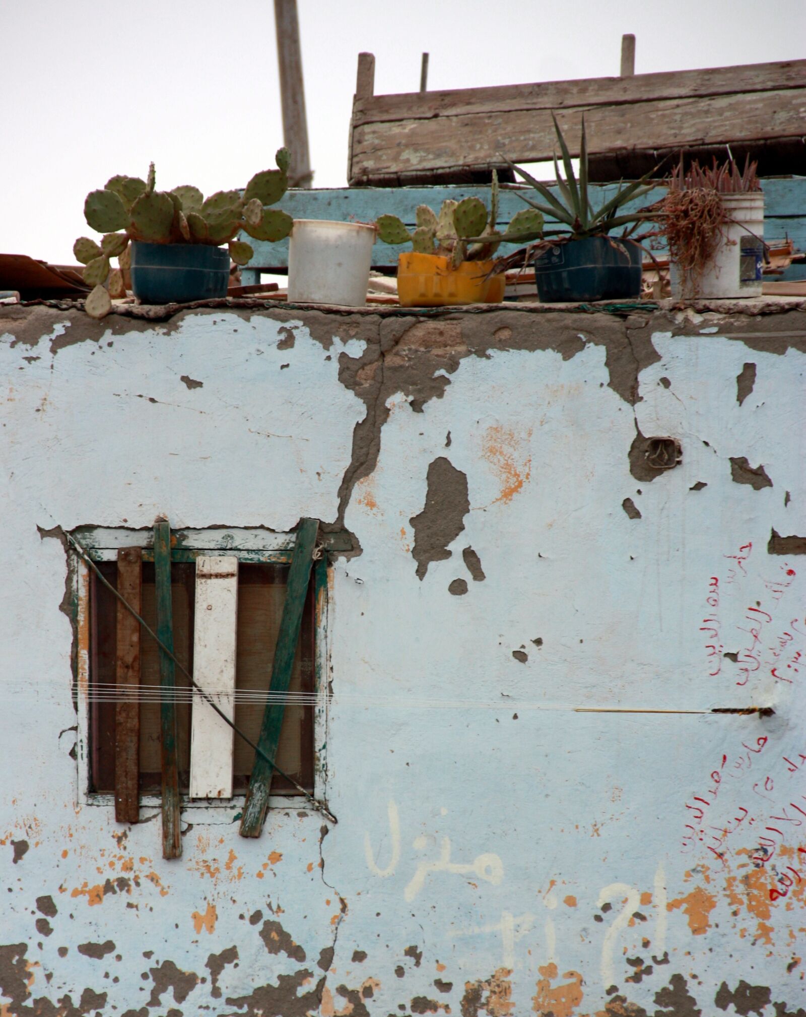 Canon EOS 450D (EOS Rebel XSi / EOS Kiss X2) sample photo. Flowers, window, roofing photography