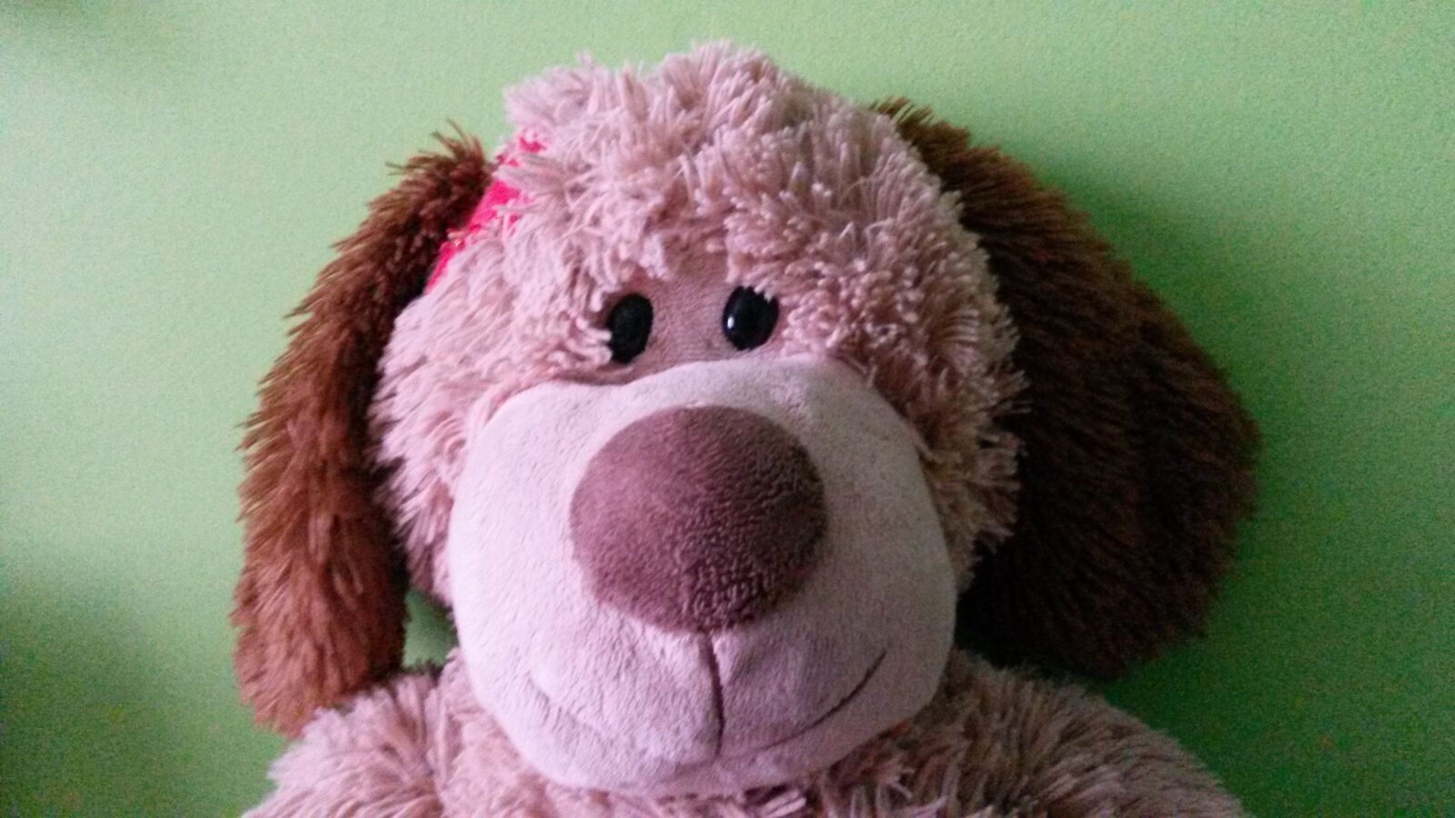 Samsung Galaxy S4 Mini sample photo. Teddy, bear, toys photography