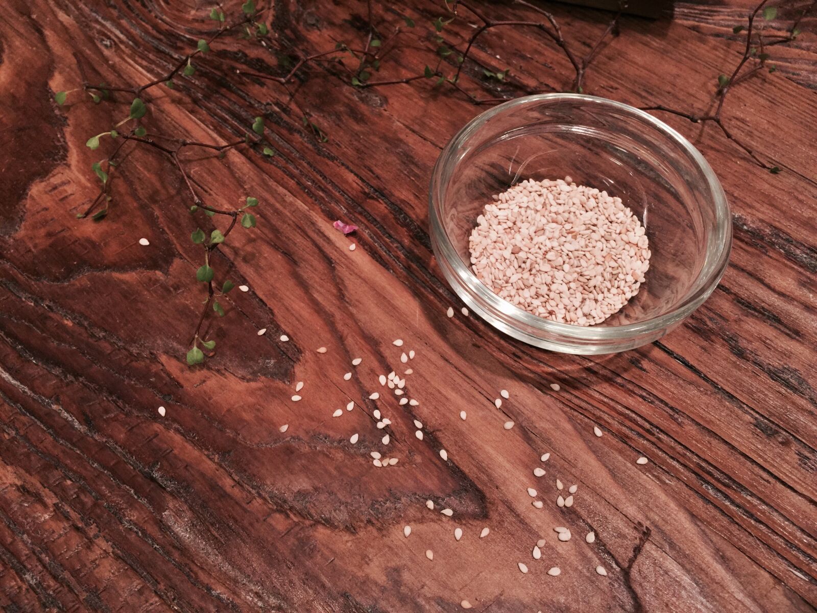 iPhone 6 Plus back camera 4.15mm f/2.2 sample photo. Sesame, wood, pattern photography