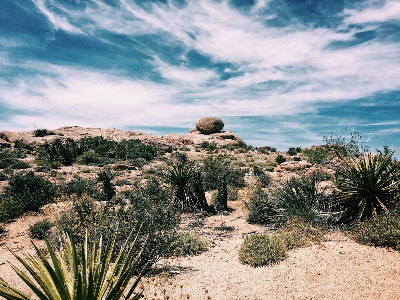Apple iPhone 6 sample photo. Desert, california, landscape photography