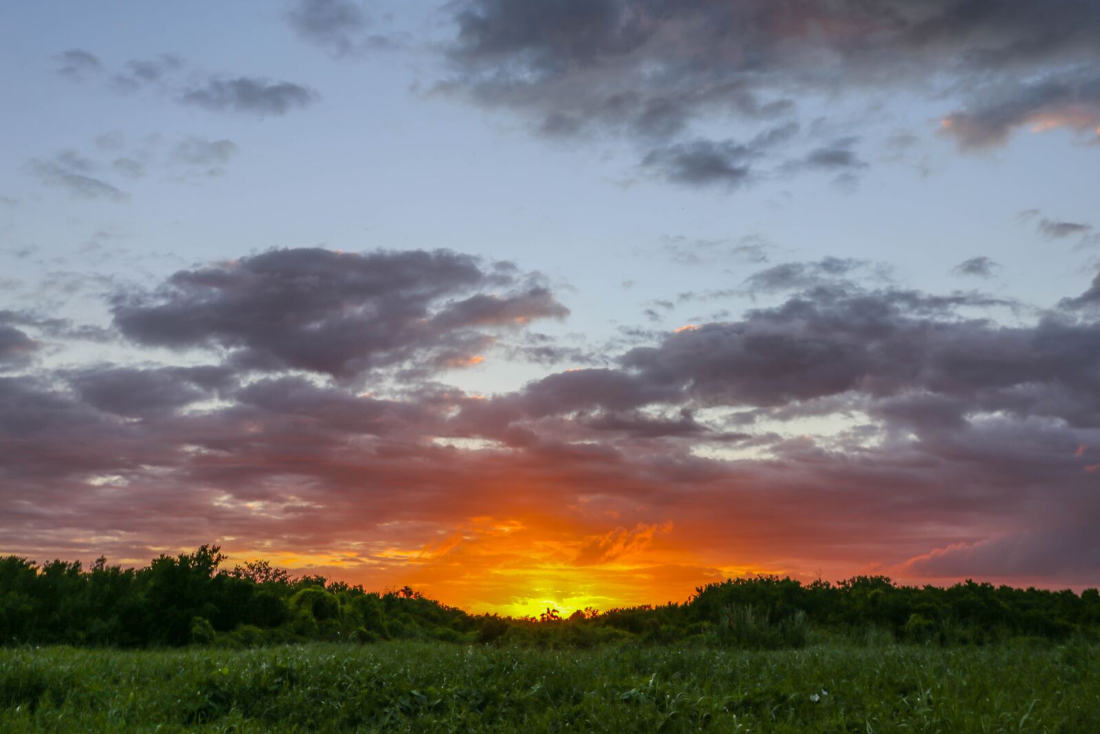 Canon EOS 6D + Canon EF 17-40mm F4L USM sample photo. Dominican republic, sargisova sea photography