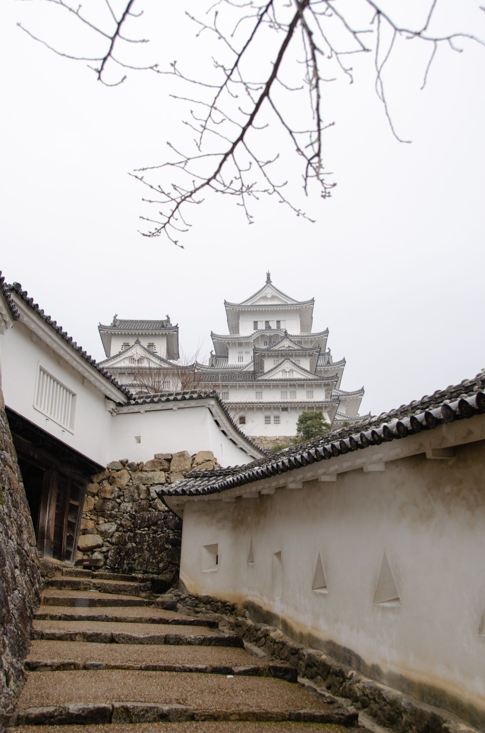 Nikon D5100 sample photo. Himeji castle, himeji, castle photography