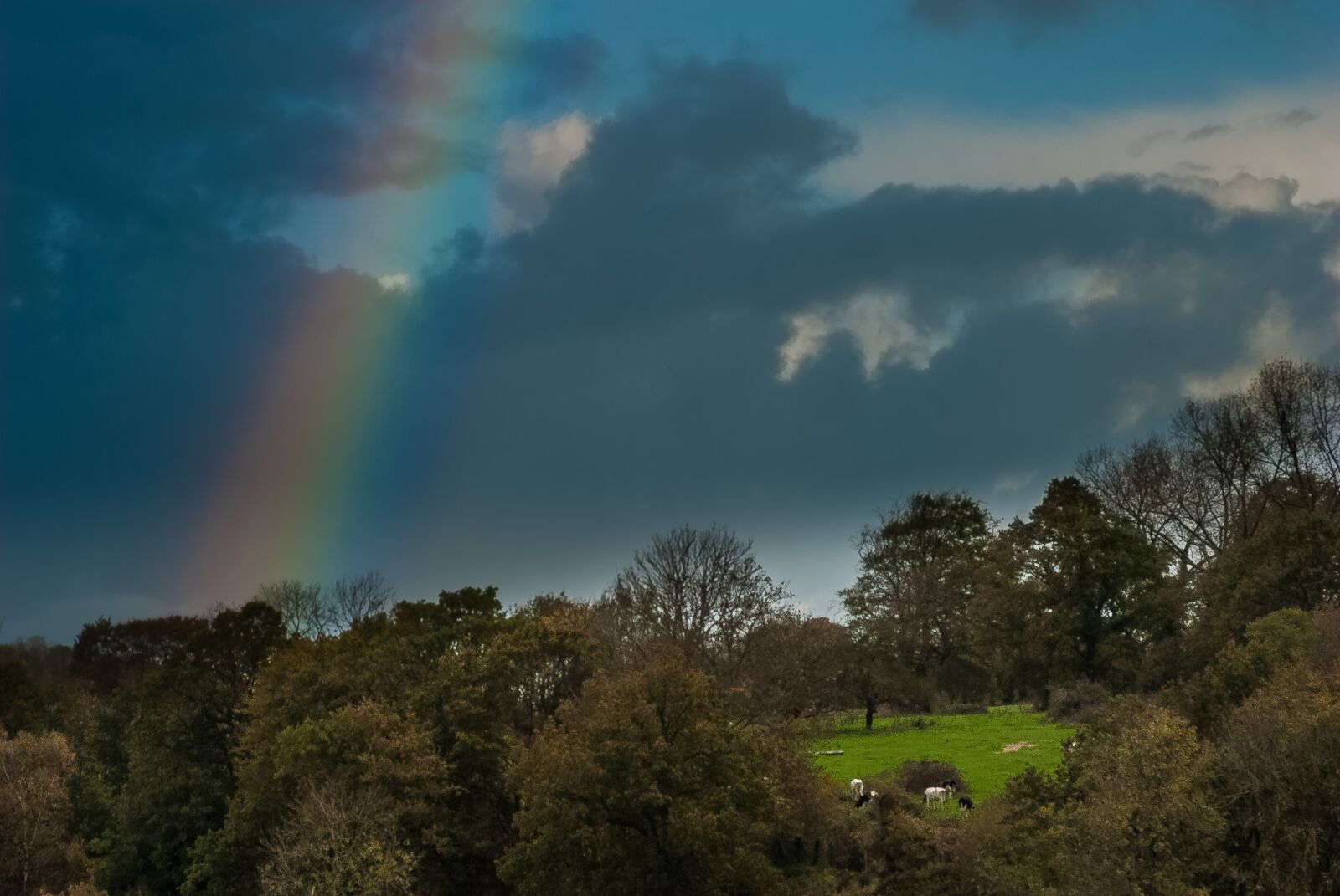 Nikon D80 sample photo. Landscape, normandy, rainbow photography