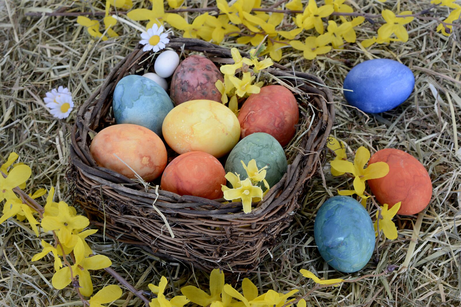 Nikon D7100 sample photo. Easter nest, nest, easter photography