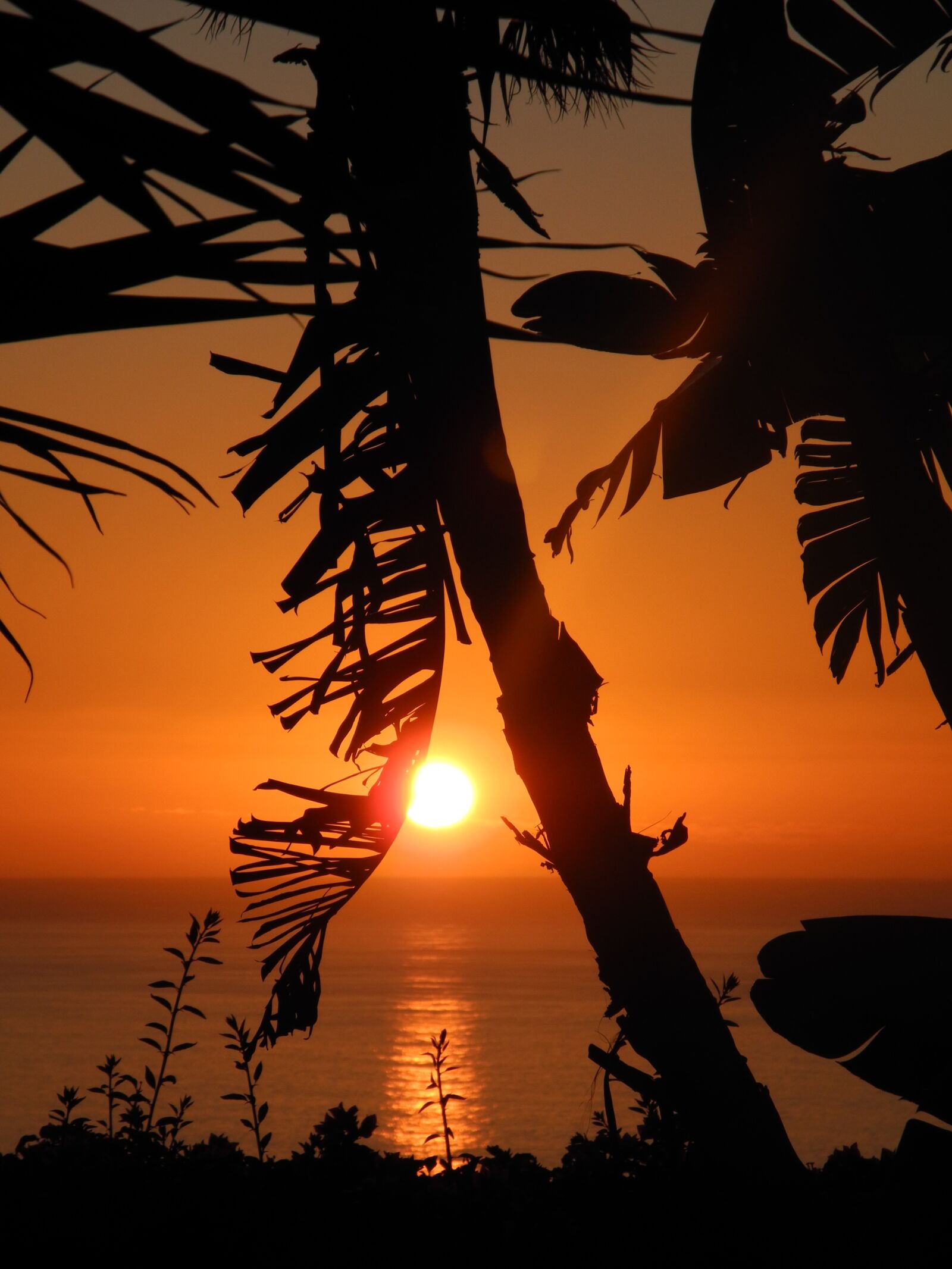 Nikon Coolpix P7000 sample photo. Sunset, canary islands, la photography