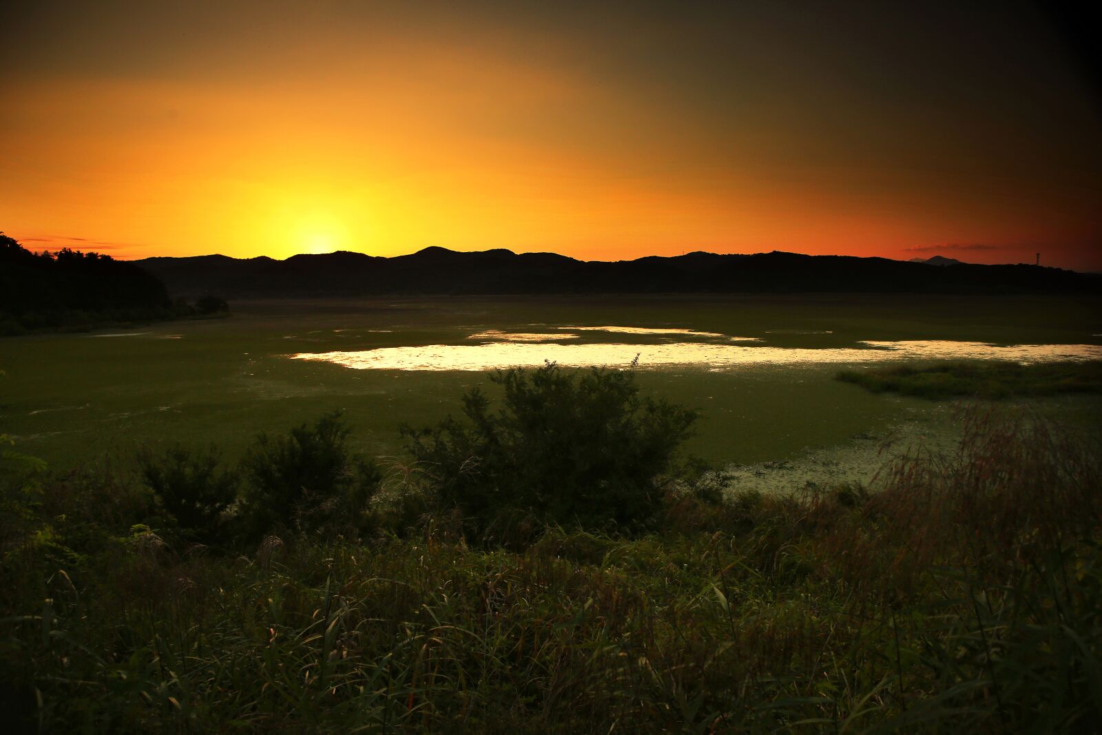 Canon EOS 5D Mark III sample photo. The swamp, sunset, nature photography