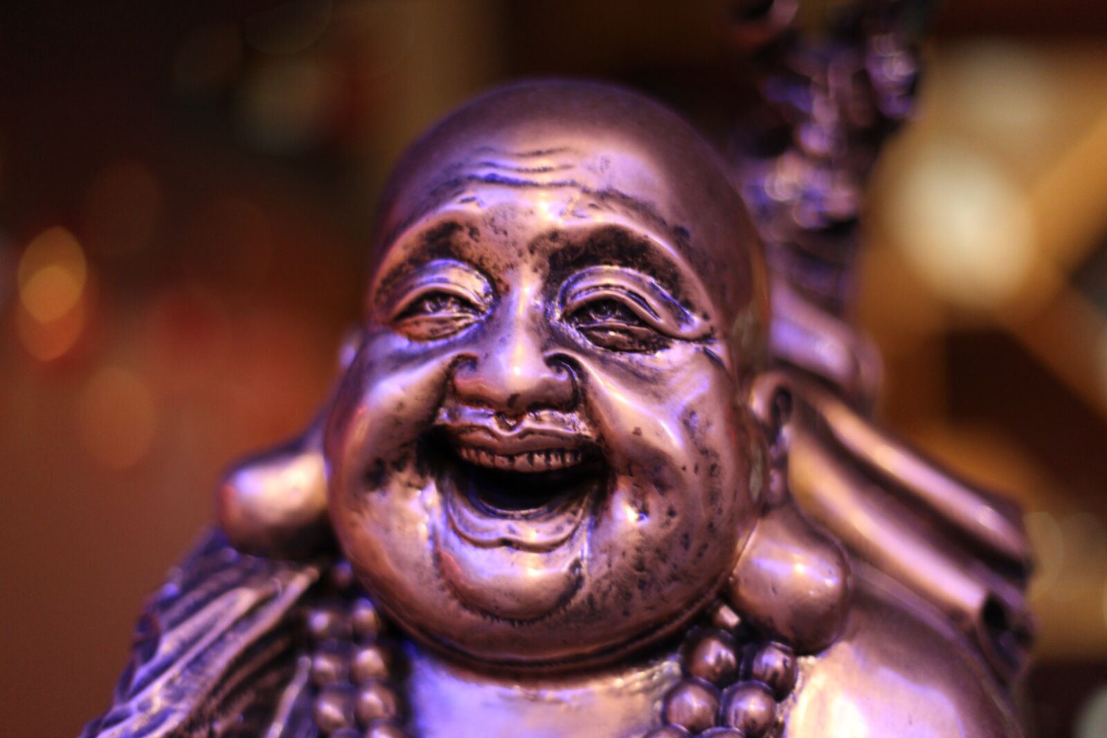 Canon EOS 5D Mark II sample photo. Buddha, statuette, metal photography