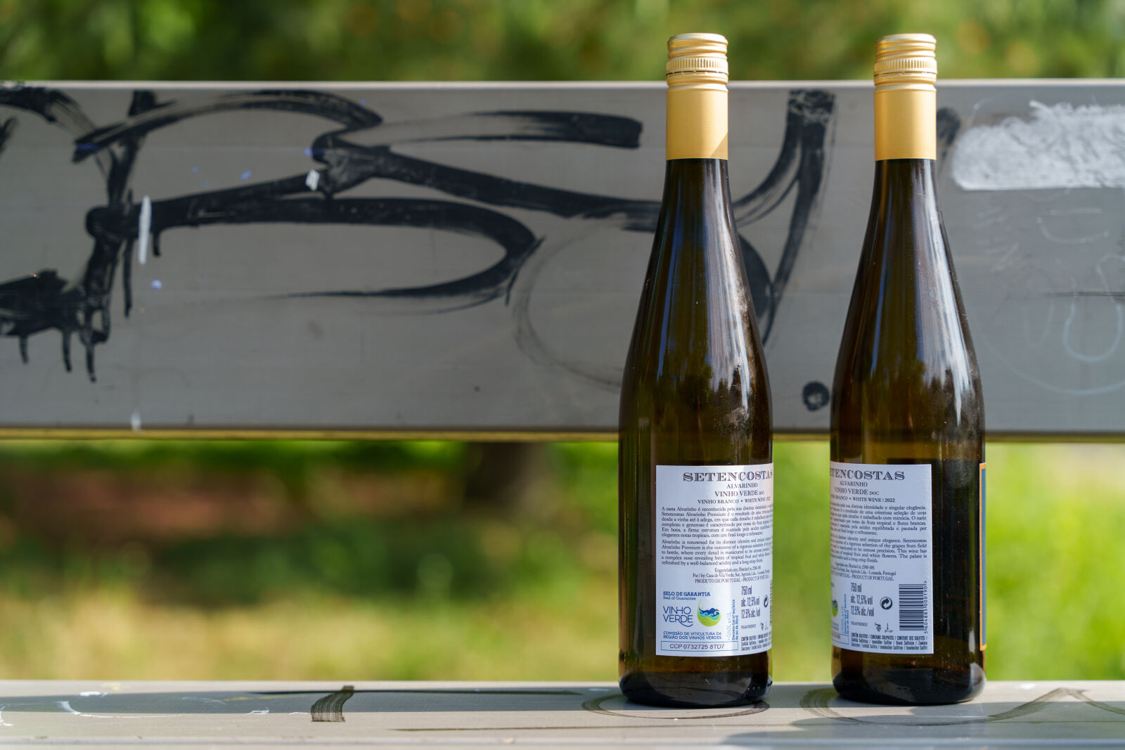 Sony a7R V sample photo. Bottles for two photography