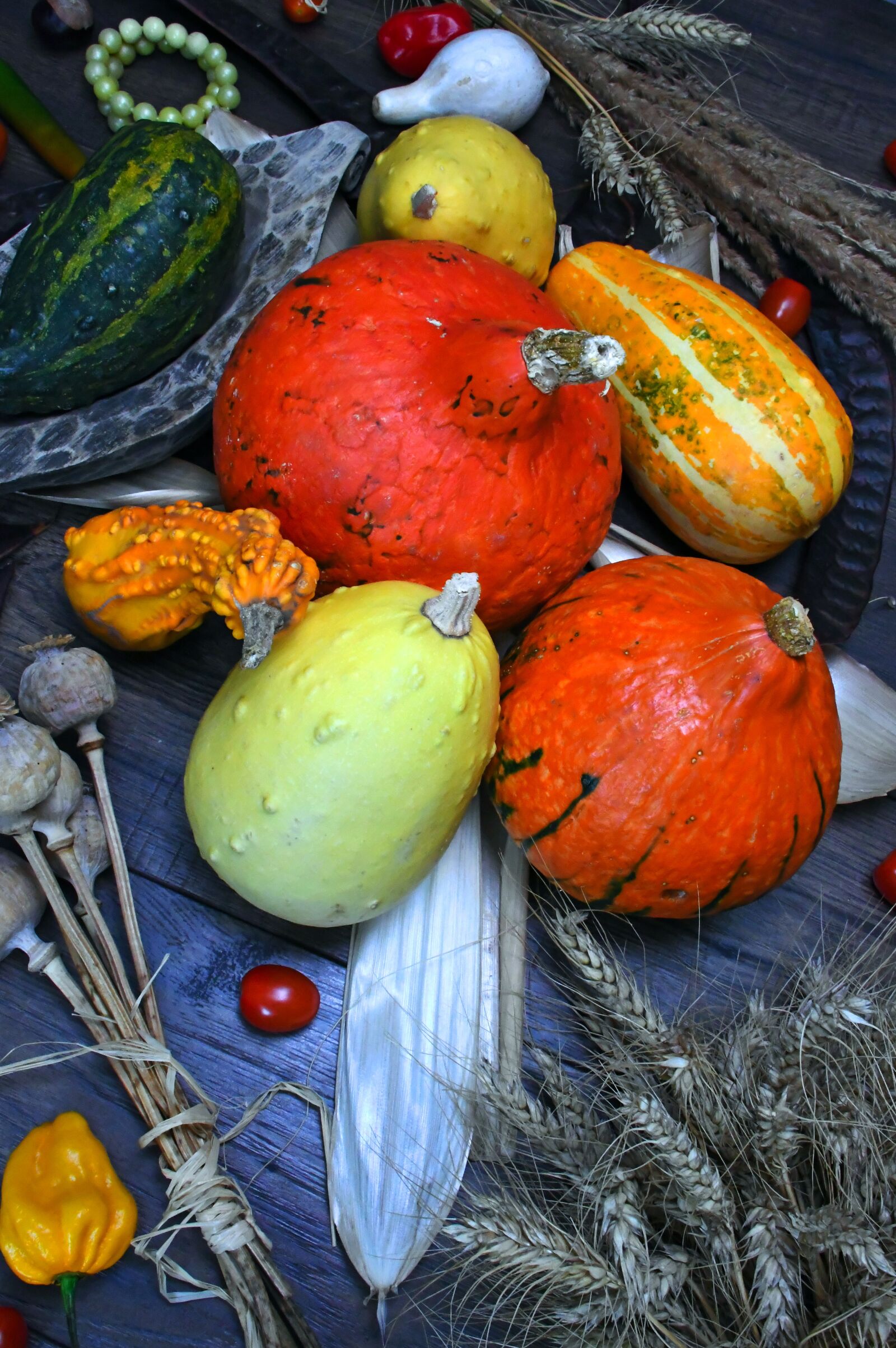 Nikon D3200 sample photo. Pumpkin, autumn, autumn still photography
