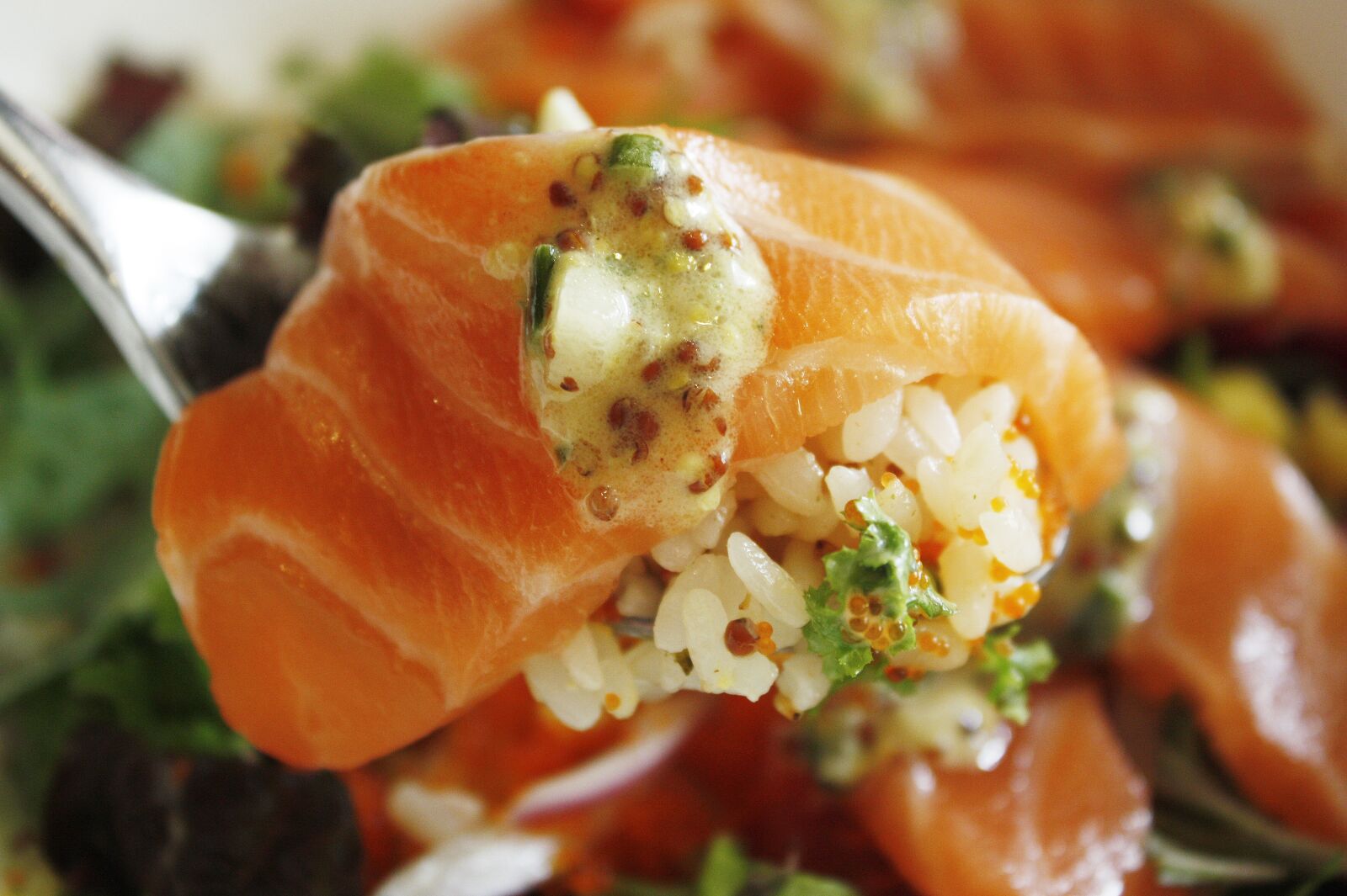 Canon EOS 450D (EOS Rebel XSi / EOS Kiss X2) sample photo. Salmon, salmon roe sushi photography