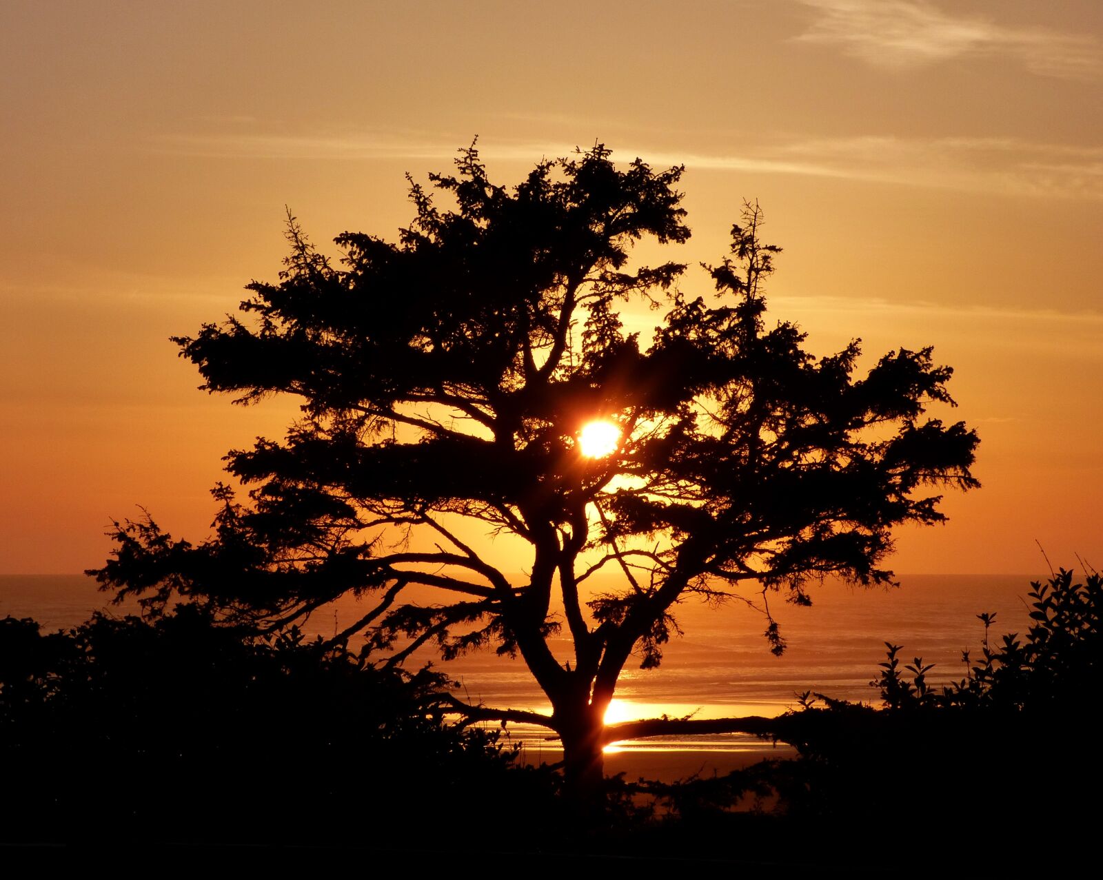 Panasonic Lumix DMC-FZ70 sample photo. Sunset, tree, silhouette photography