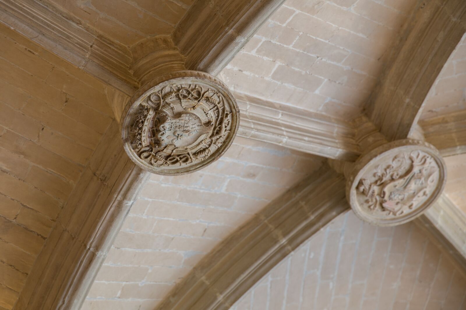 Canon EOS 6D sample photo. Castle, loire valley, ch photography