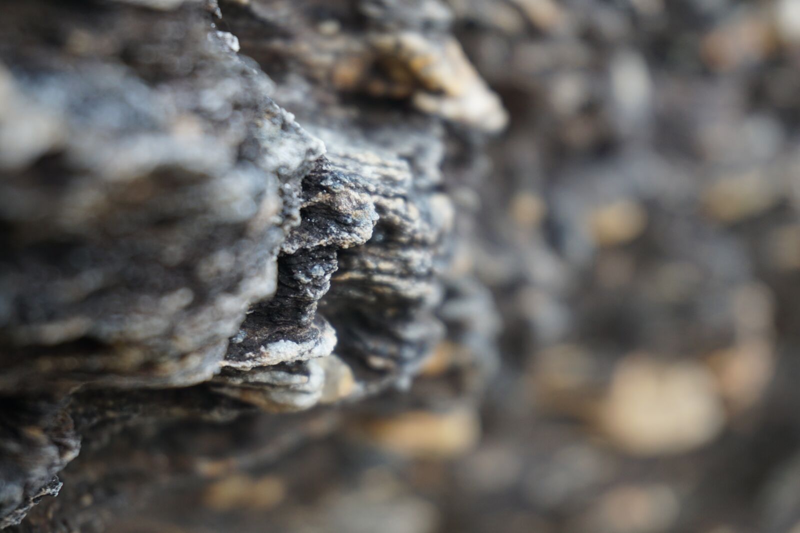 Sony E 16-50mm F3.5-5.6 PZ OSS sample photo. Sea, stone, nature photography
