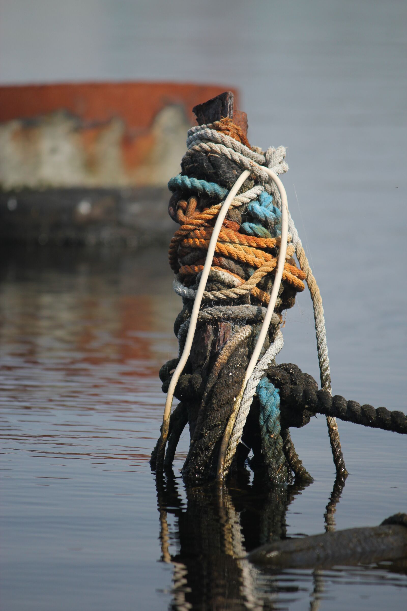 Canon EOS 550D (EOS Rebel T2i / EOS Kiss X4) sample photo. Maritime, dew, rope photography