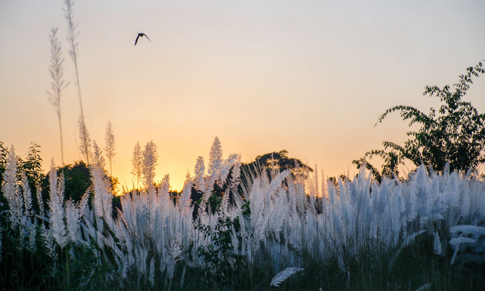 Nikon D7000 sample photo. Landscape, evening, time photography