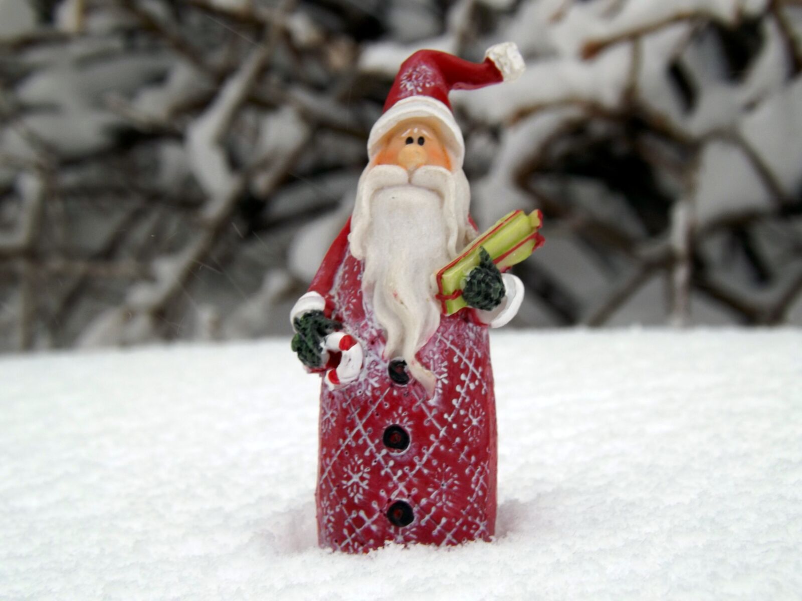 Fujifilm FinePix S4500 sample photo. Santa, snow, white photography