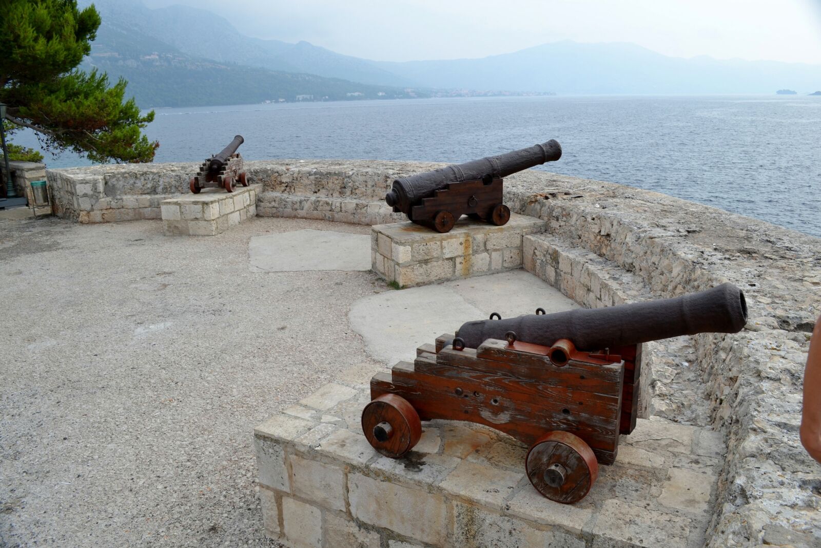 Nikon D3100 sample photo. Weapon, cannon, military photography
