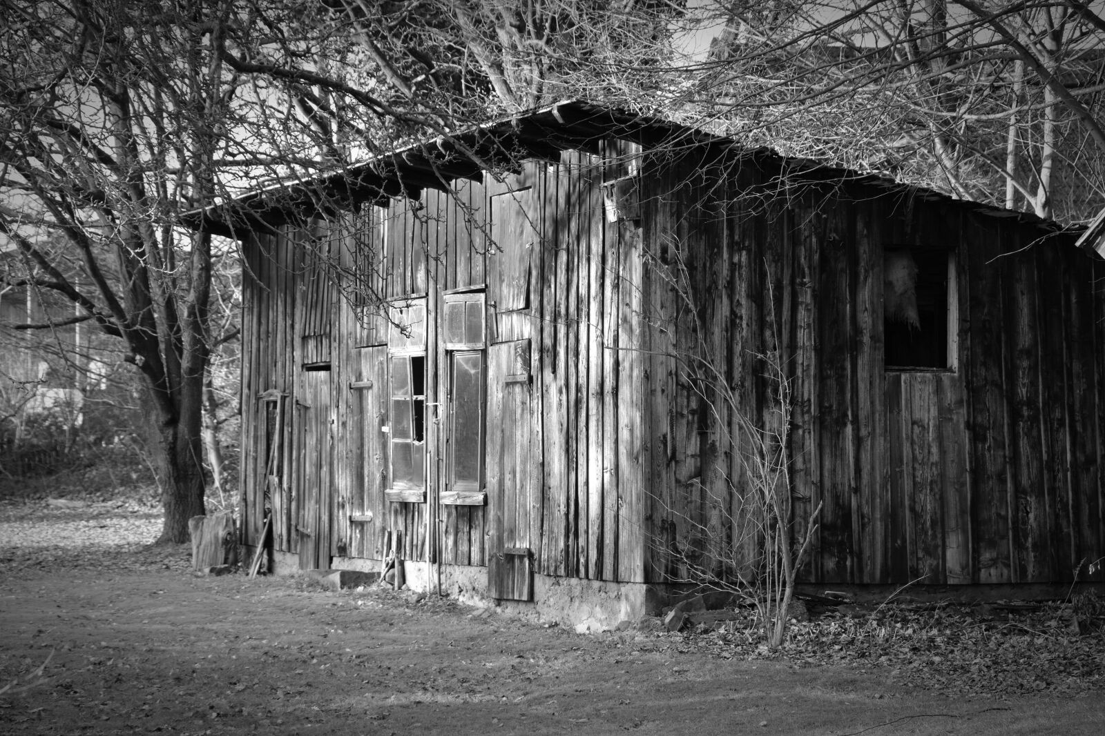 Nikon D5200 sample photo. Wood shed, scale, old photography