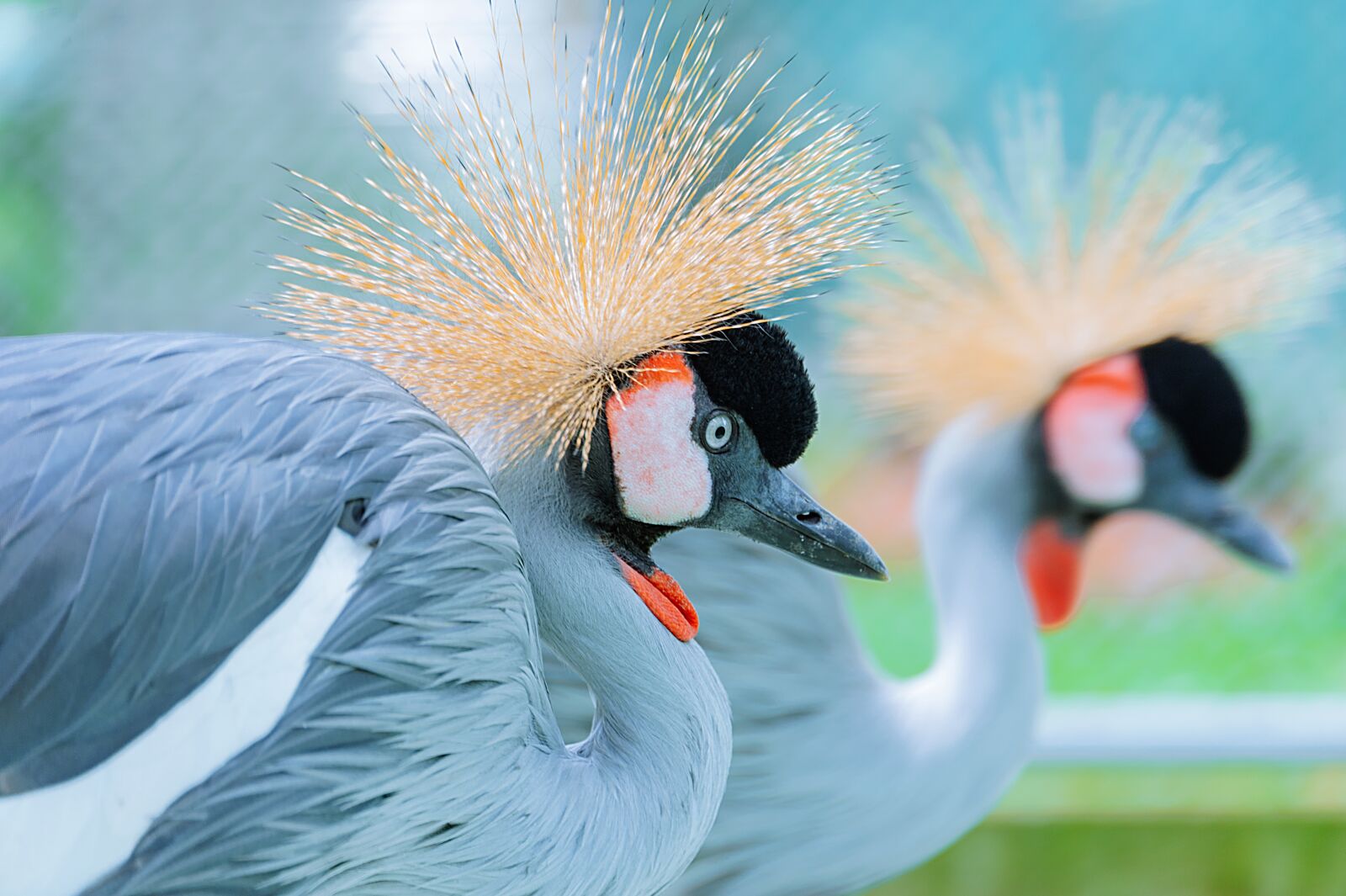 Nikon D700 sample photo. Bird, landscape, color photography