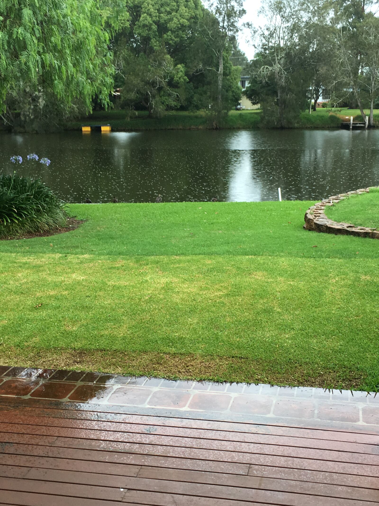 iPhone 6s back camera 4.15mm f/2.2 sample photo. Rainy, day, at, river photography
