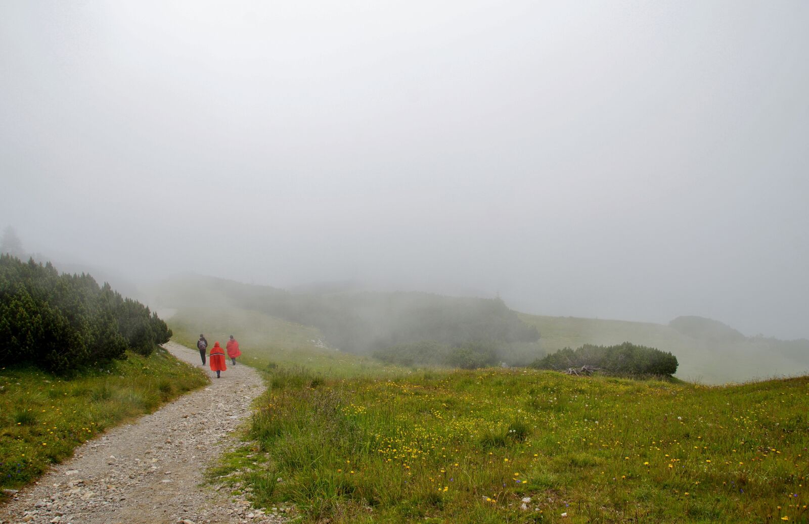 Sony SLT-A58 sample photo. Alps, fog, rainy photography