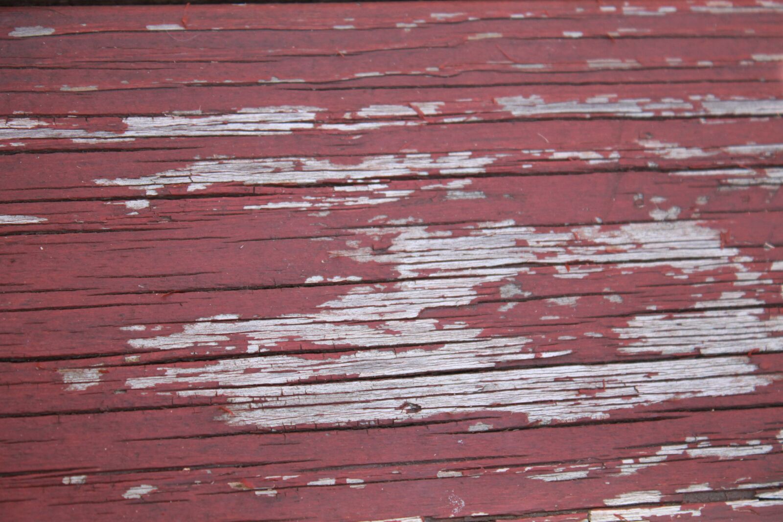Canon EOS 500D (EOS Rebel T1i / EOS Kiss X3) sample photo. Texture, wood, peeling photography