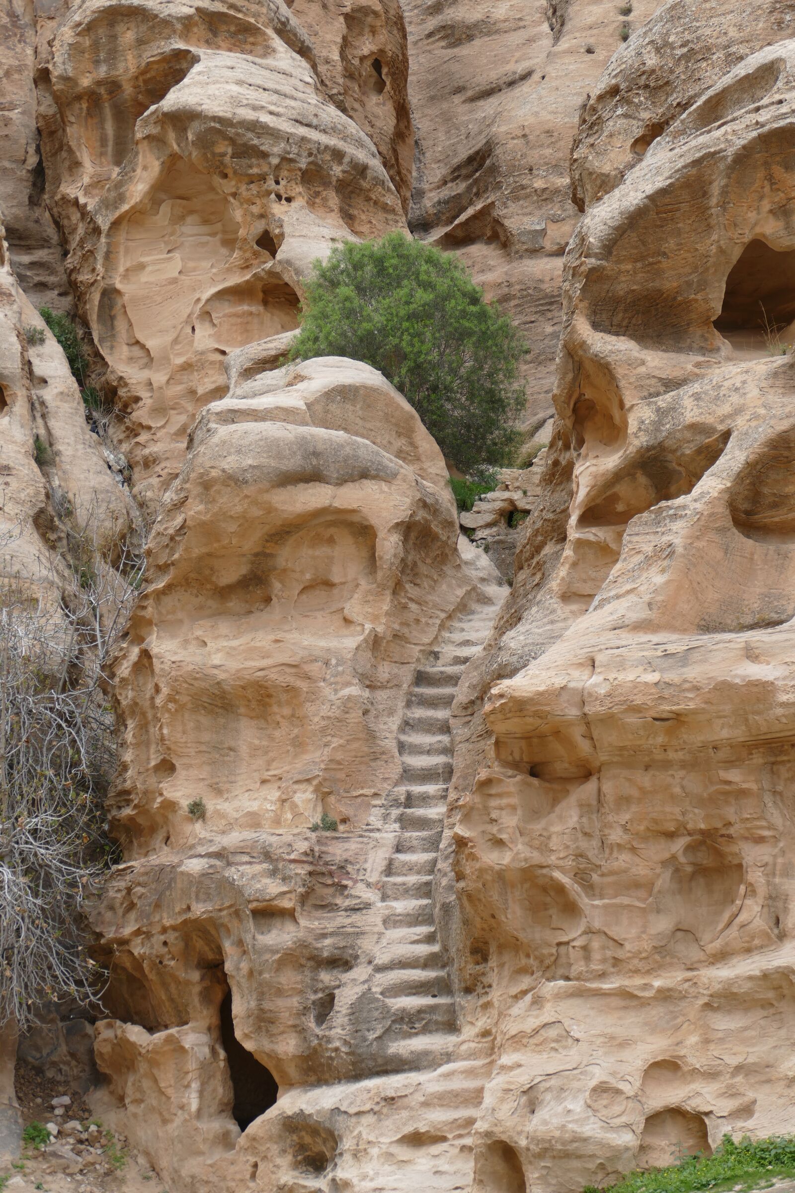 Panasonic Lumix DMC-FZ1000 sample photo. Jordan, petra, sand stone photography