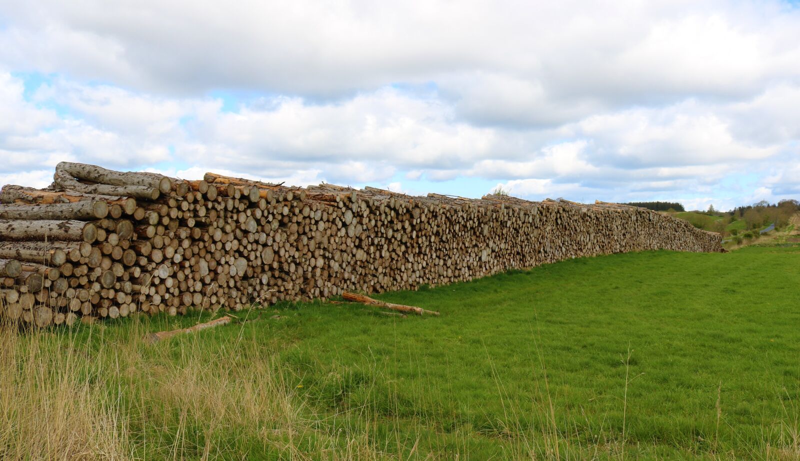 Canon EOS 750D (EOS Rebel T6i / EOS Kiss X8i) sample photo. Logs, wood, tree trunks photography