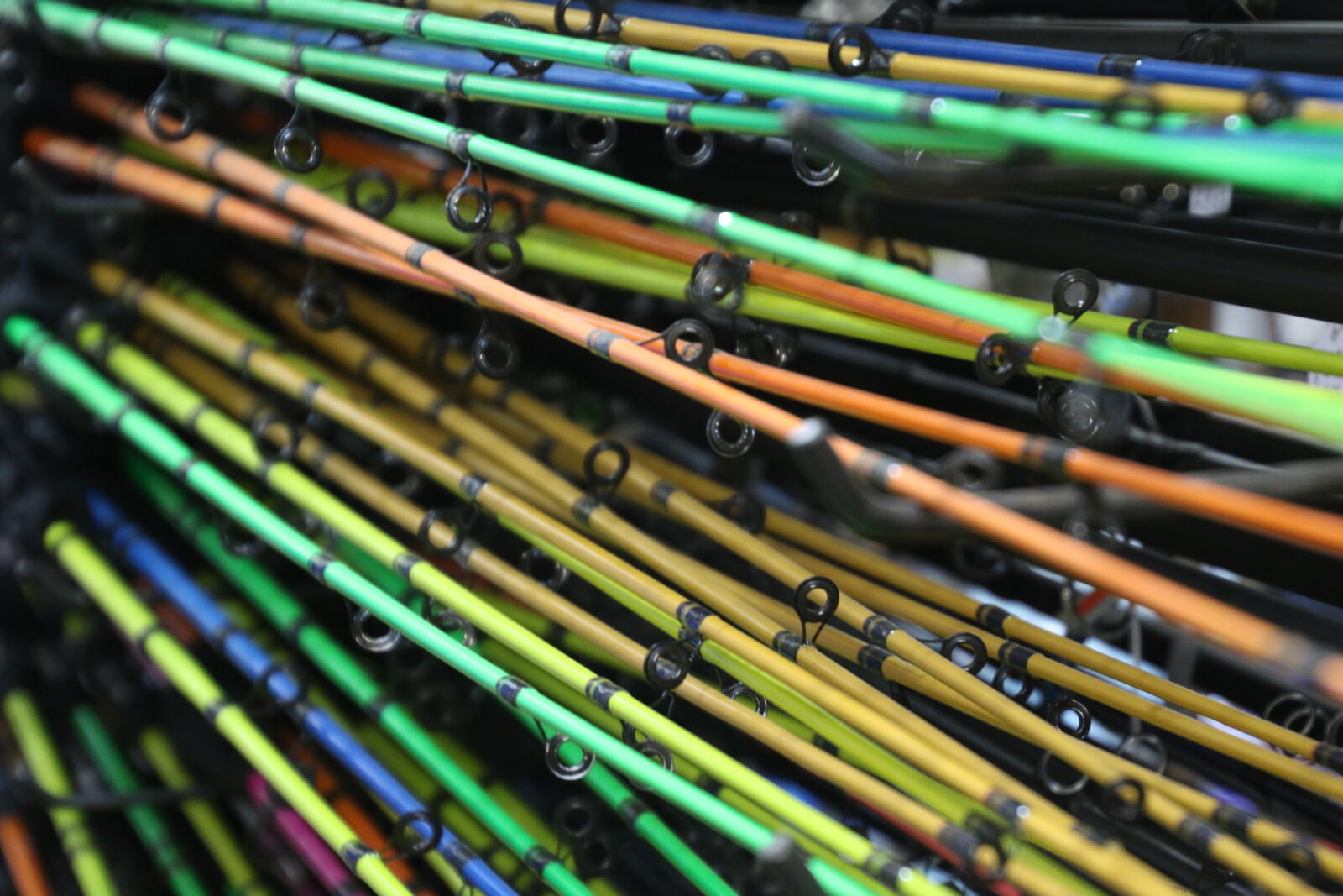 Canon EOS 7D Mark II sample photo. Colorful, fishing, fishing, pole photography