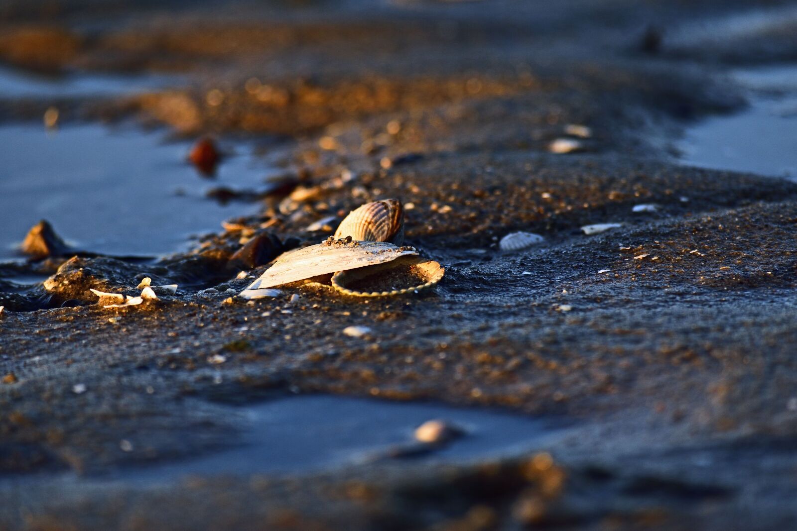 Nikon D5600 sample photo. Beach, sea, vacations photography