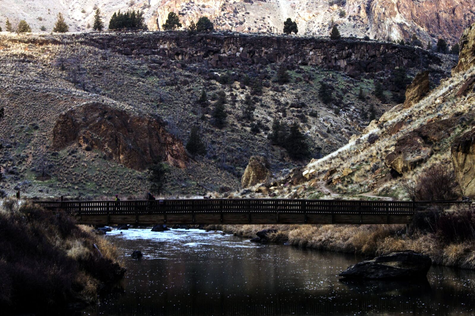 Nikon D5200 sample photo. Trees, valley, water, bridge photography