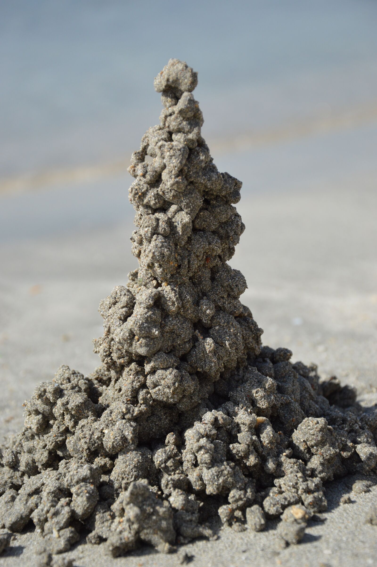 Nikon D3200 sample photo. Beach, sand, klecker castle photography