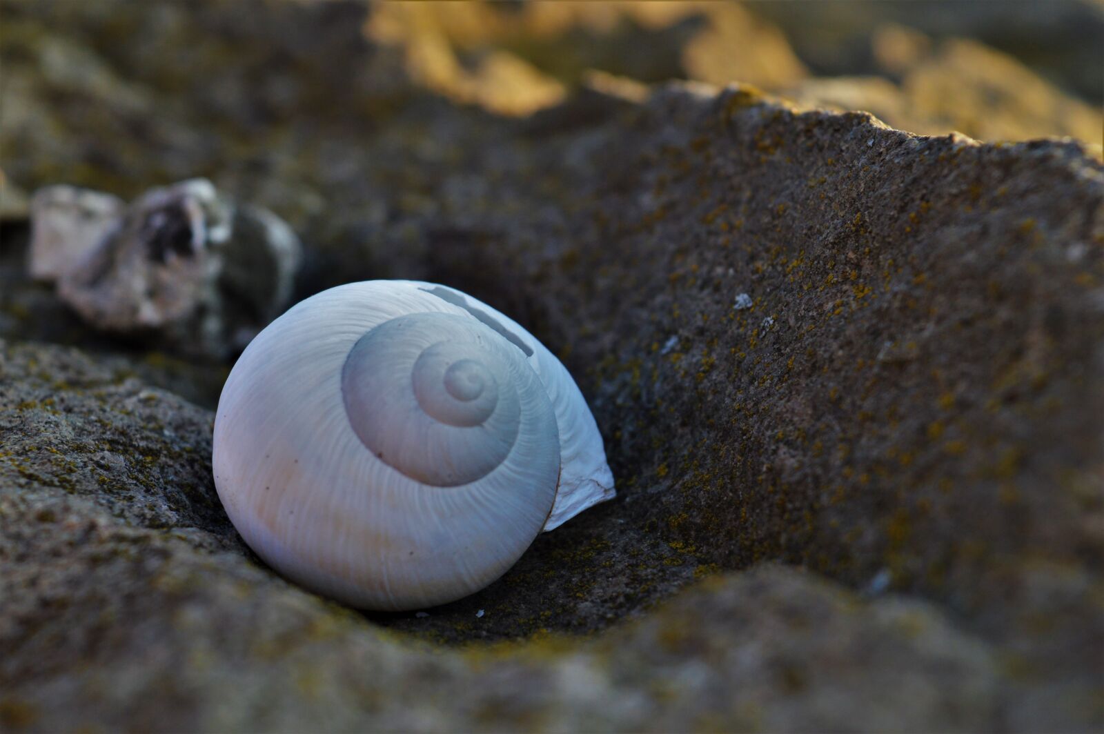 Nikon D3200 sample photo. Mothernature, nature, nature, photography photography