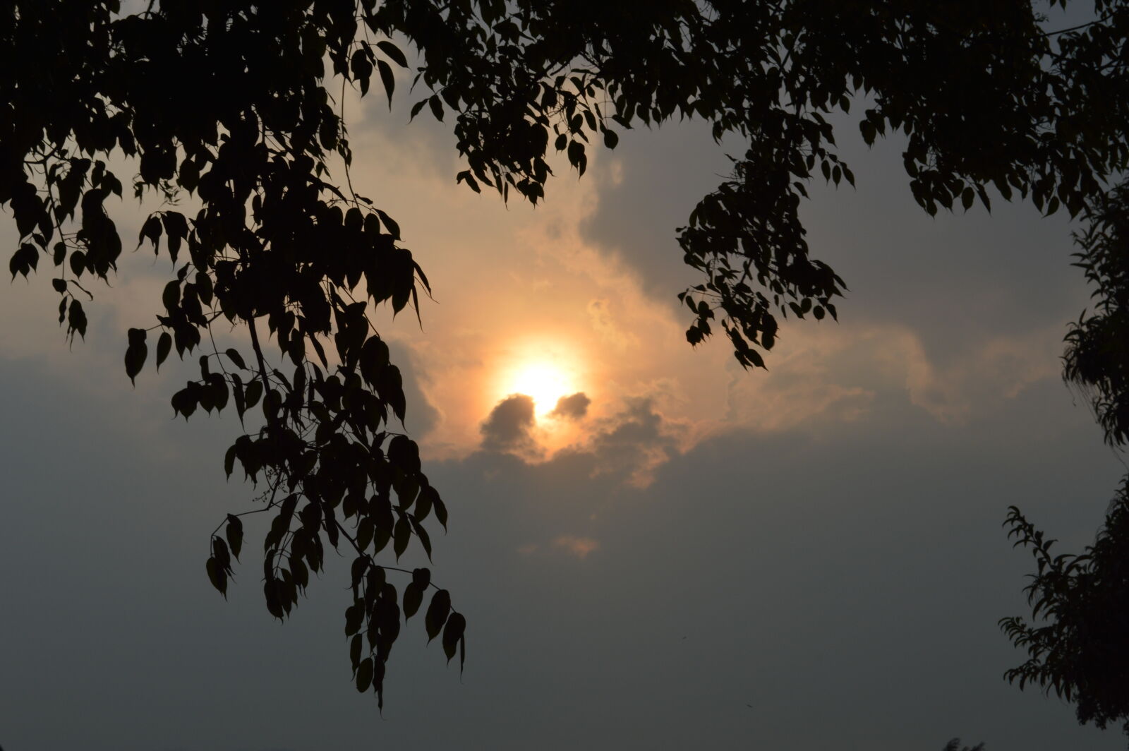 Nikon D3200 sample photo