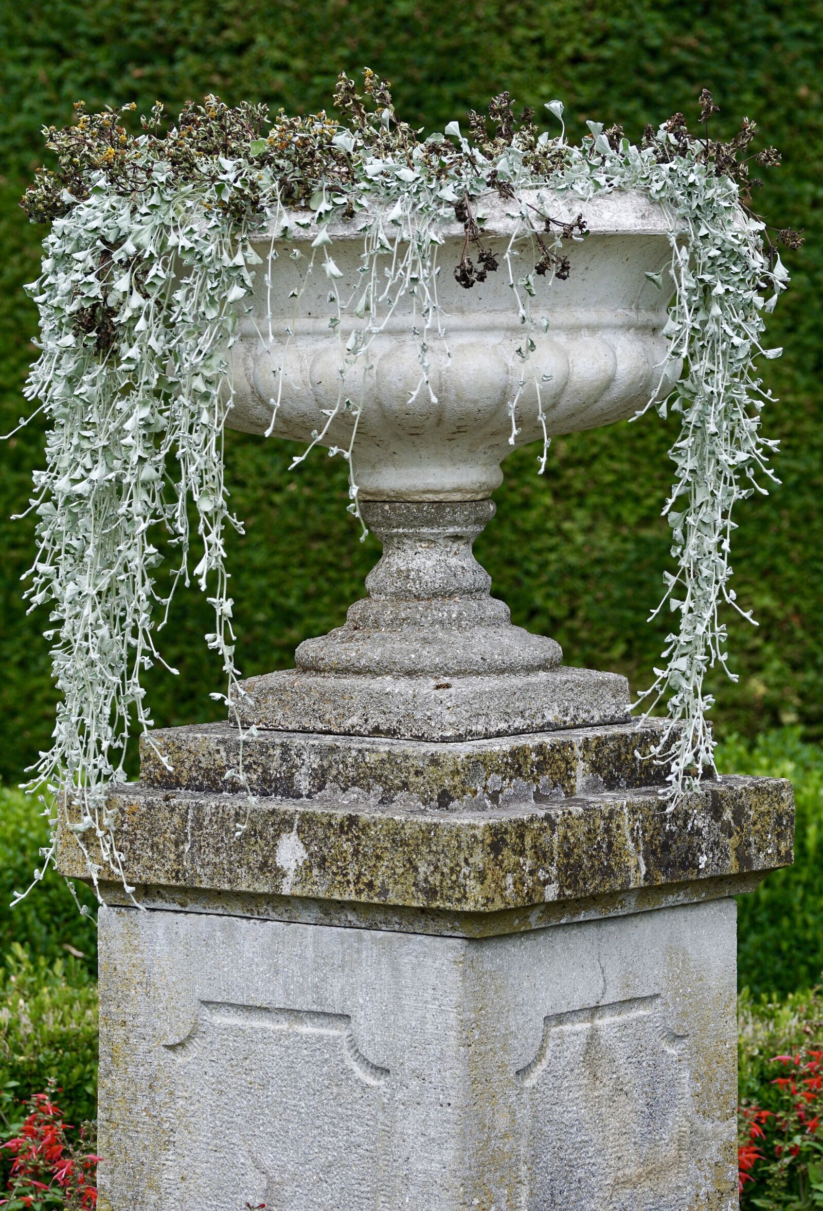 Sony DT 55-300mm F4.5-5.6 SAM sample photo. Amphora, garden, summer photography