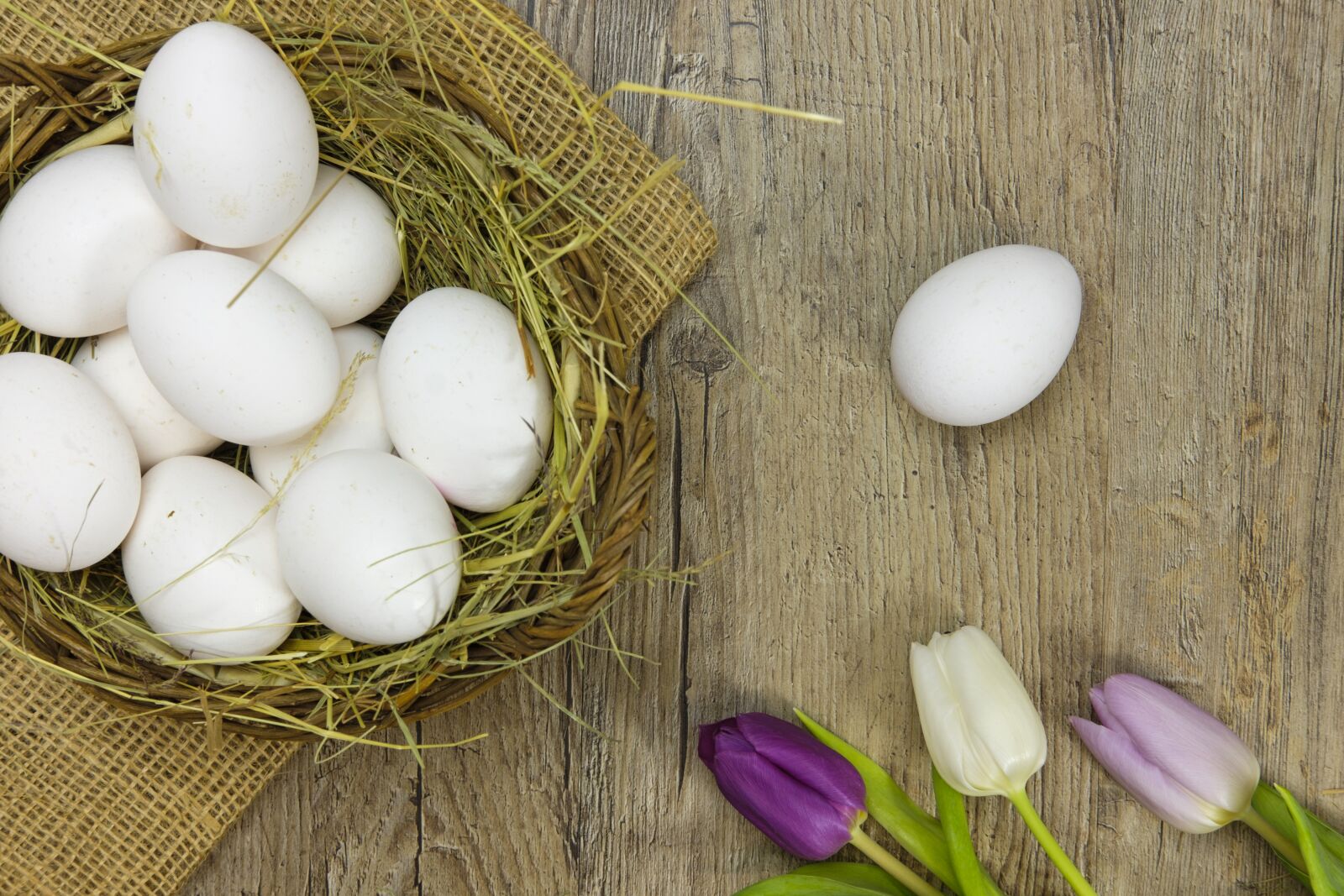 Fujifilm X-T2 + Fujifilm XF 35mm F2 R WR sample photo. Egg, easter eggs, colorful photography
