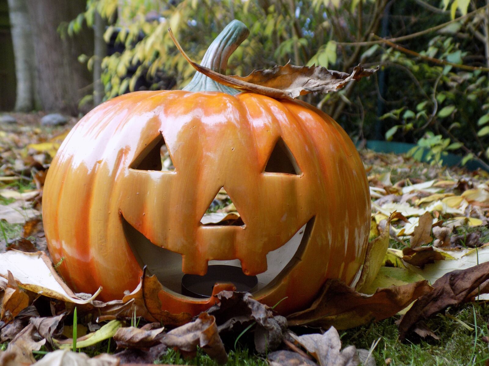 Nikon COOLPIX L340 sample photo. Pumpkin, halloween, decoration photography