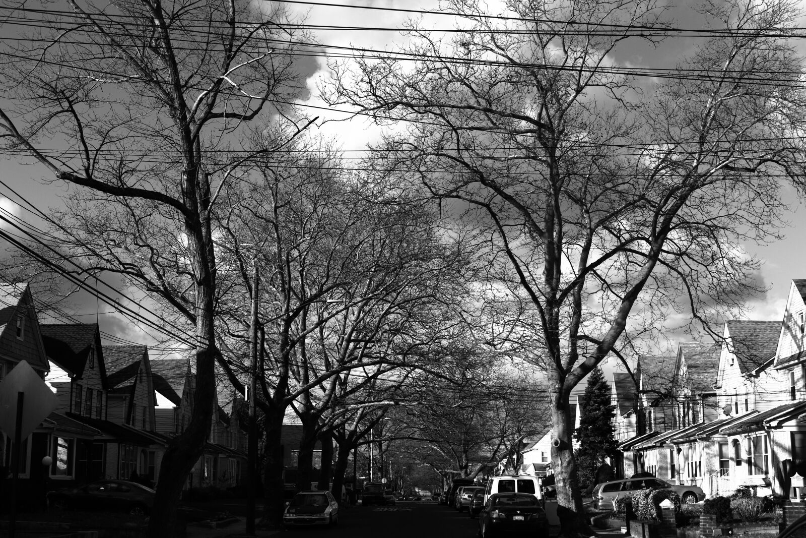 Canon EOS 700D (EOS Rebel T5i / EOS Kiss X7i) sample photo. Black, and, white, suburb photography